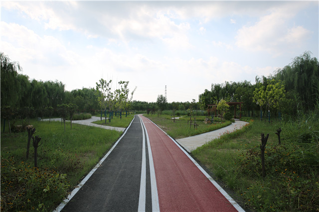 1599117287733735.jpg W020200828417138061041.jpg