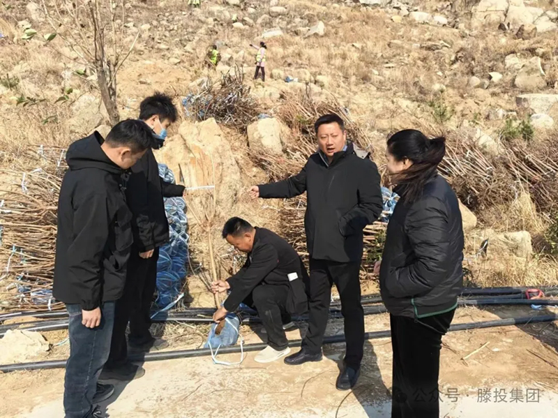 1712464534206236.jpg 640 拷贝.jpg