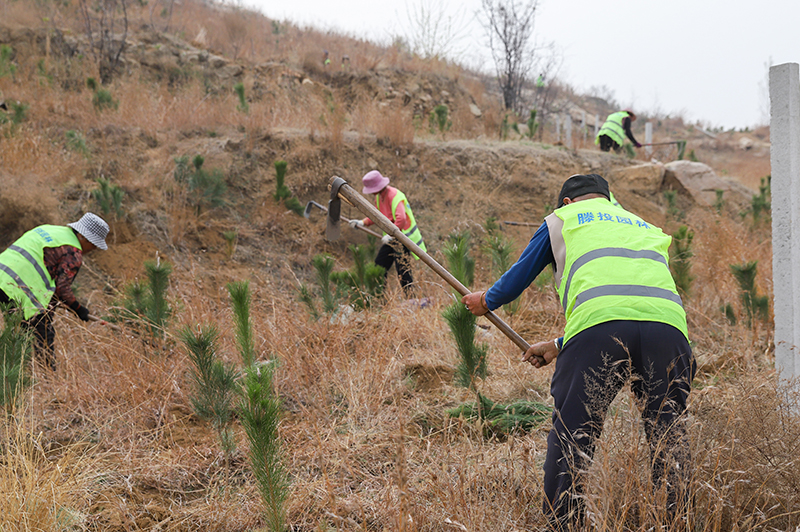 1712464586187366.jpg IMG_4687 拷贝.jpg