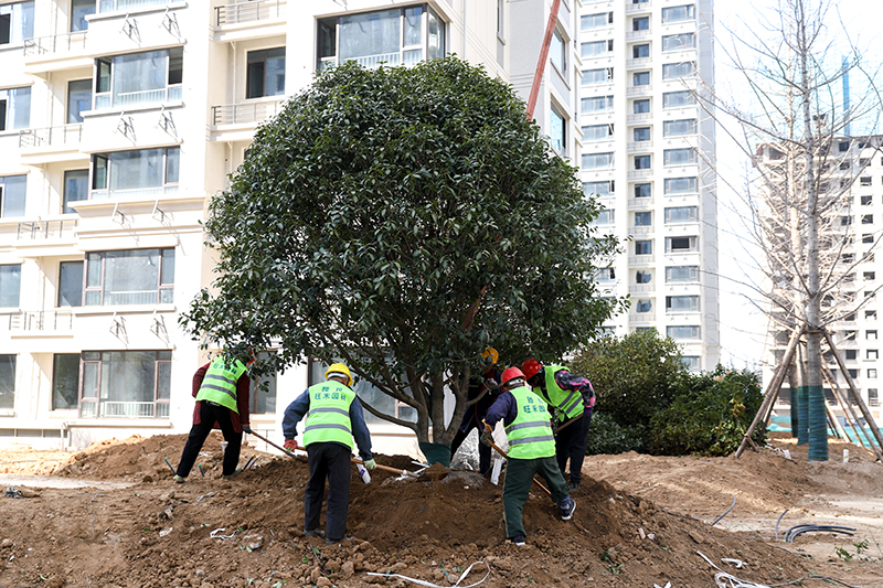 1746263286755062.jpg IMG_2114 拷贝.jpg